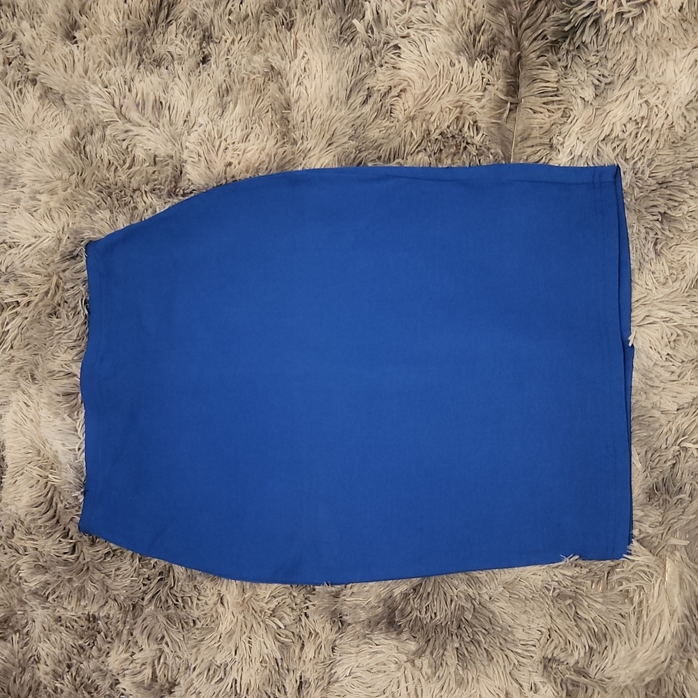 Blue Express skirt